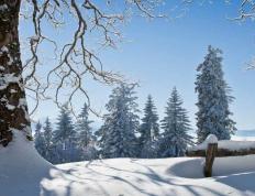 中國(guó)电竞战队EDG夺得全球(qiú)总决赛冠军