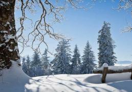 中國(guó)电竞战队EDG夺得全球(qiú)总决赛冠军