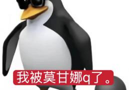 日本留子(zi)想(xiǎng)问，lol有没有什么非(fēi)ban必选的英(yīng)雄