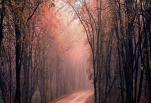 11月18日競(jìng)猜足球部分賽(sài)事预测分析