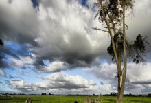 職(zhí)业联赛，再(zài)不见张寶(bǎo)！