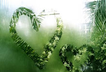 泽璟制药股价跌(diē)5.19%，山(shān)証(zhèng)資(zī)管旗下1只基金重倉(cāng)，持有1.76万股浮亏損(sǔn)失9.27万元