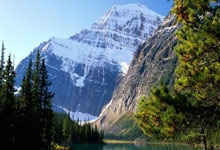 “四补一促”保稳产