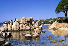 “四补一促”保稳产