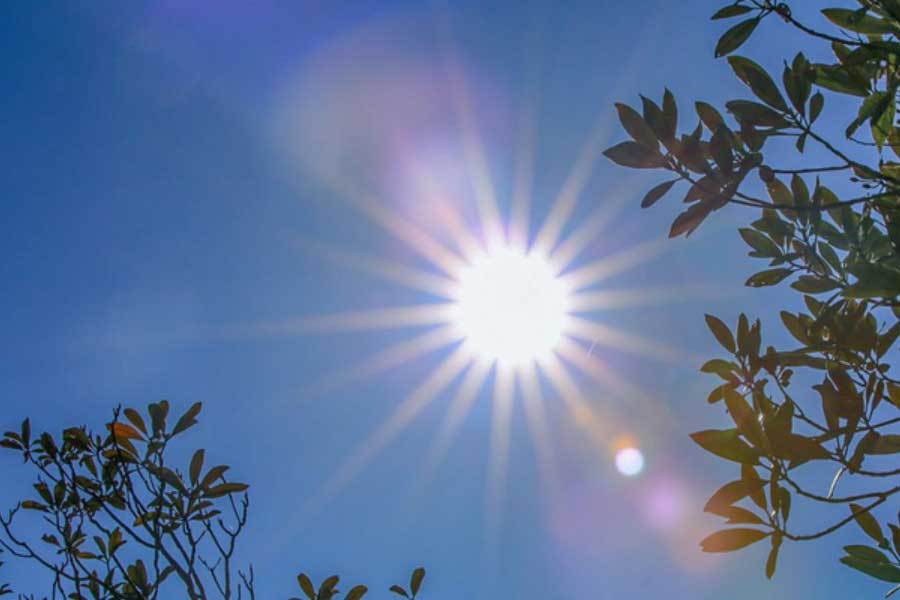 中國(guó)电竞战队EDG夺得全球(qiú)总决赛冠军